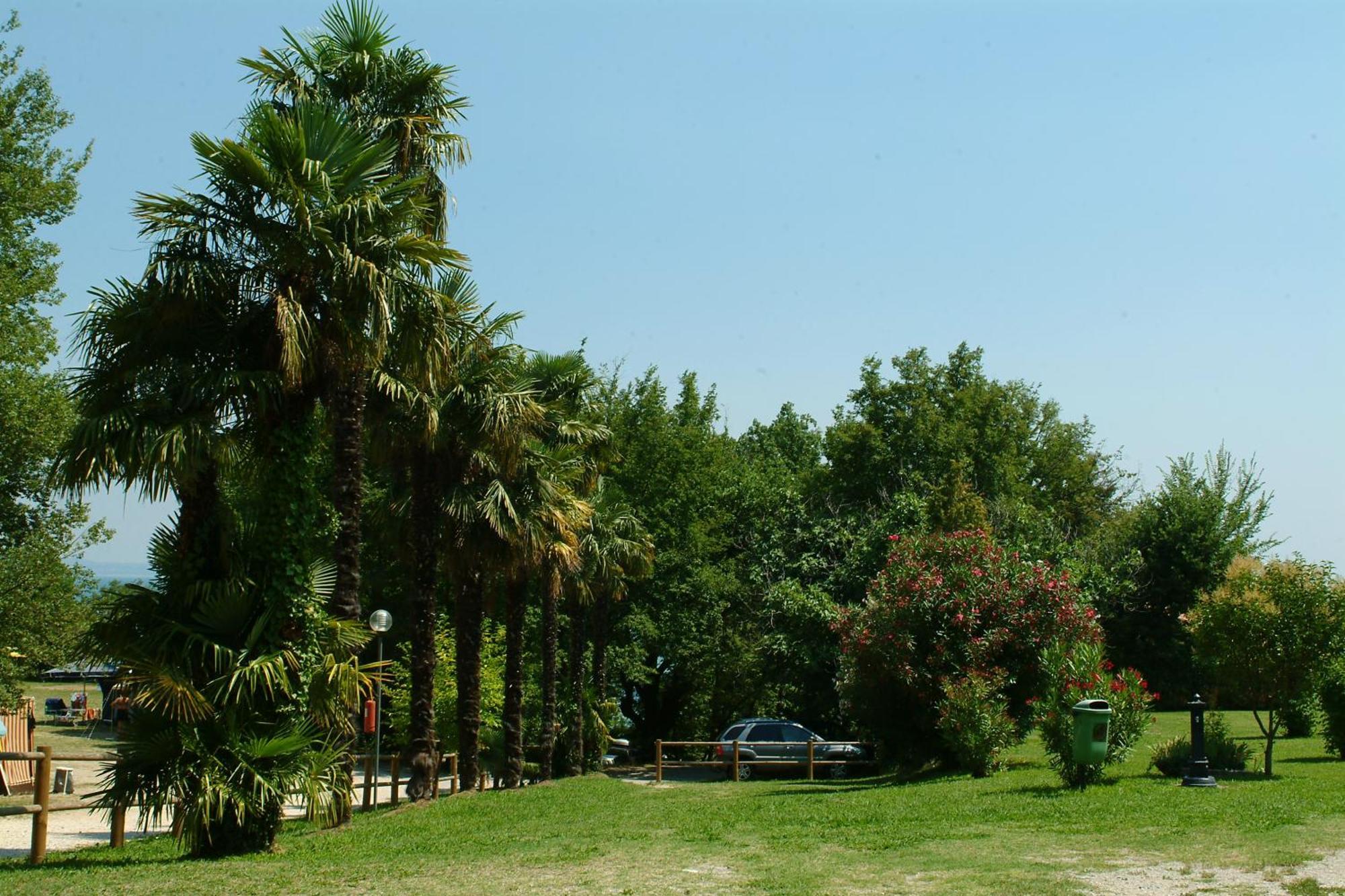 Camping Zocco Manerba del Garda Luaran gambar