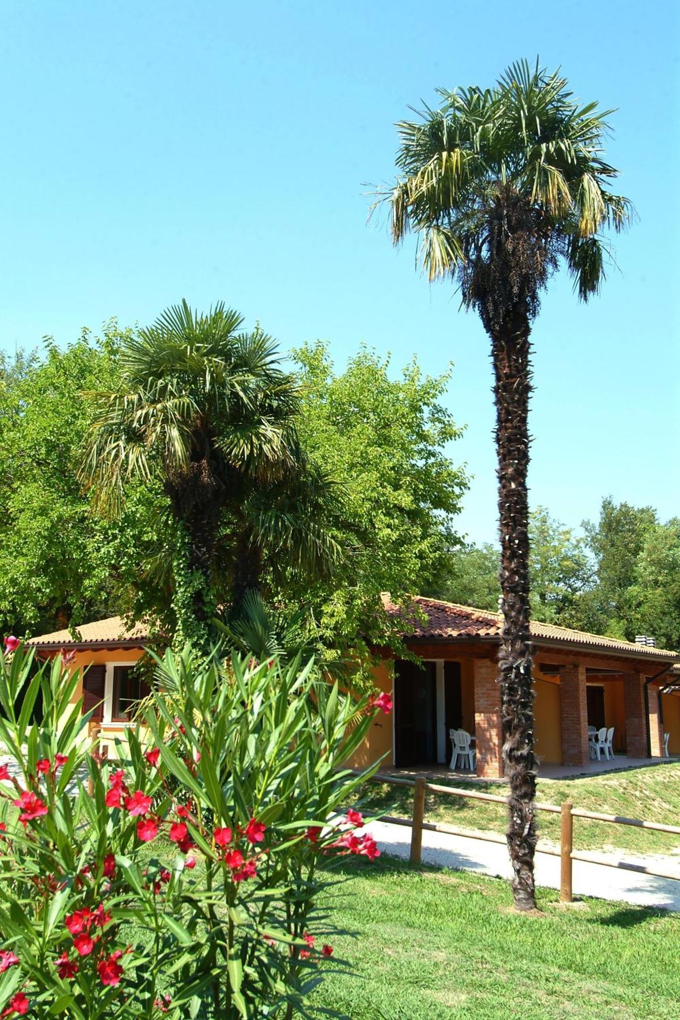 Camping Zocco Manerba del Garda Luaran gambar